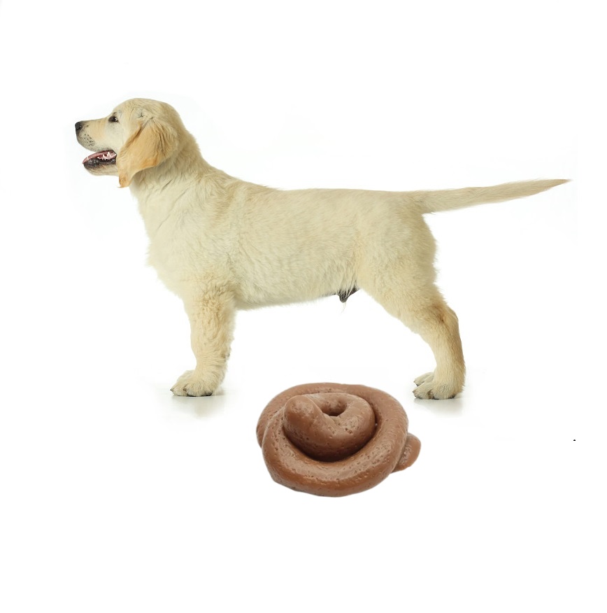 Jouet moelleux drôle en forme  - Fake Poop Gag Gift avis et prix